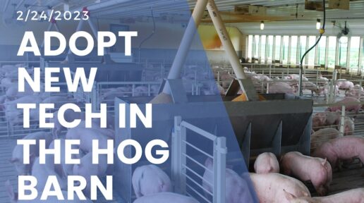 6 steps to get your service team to adopt new technology in the hog barn