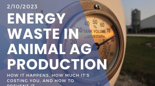 Energy Waste in Animal Ag Production