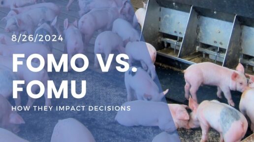 Understanding FOMO and FOMU: How They Impact Decisions