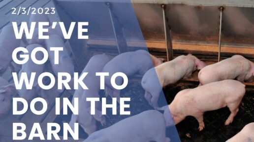 We’ve got work to do in the barn