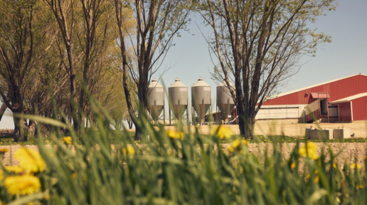 © 2025 National Pork Board Des Moines Iowa USA