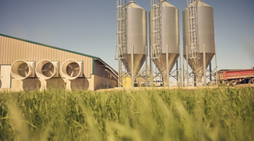A livestock barn with exhaust fans beside a row of metal feed bins under a clear sky